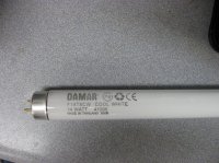 Fluorescent Lamp F14-T8, 15